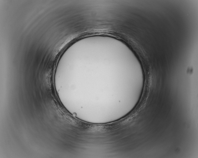X0000108481162200904241253