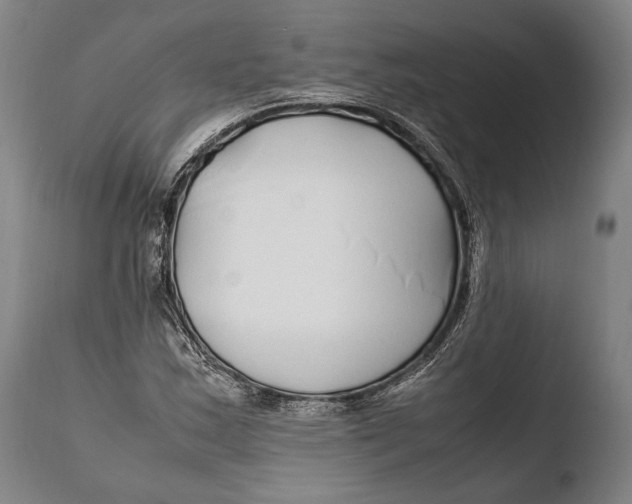 X0000108481163200904241253
