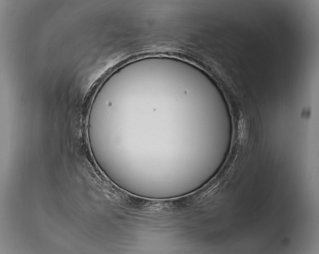 X0000108481165200904241253