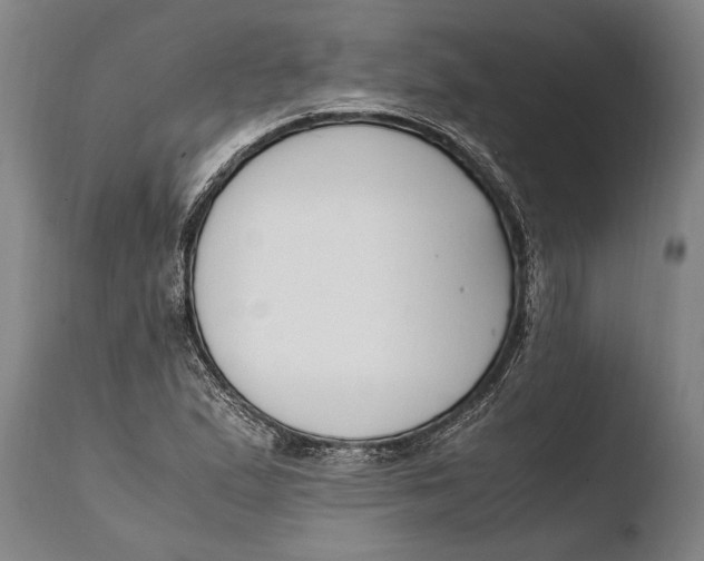 X0000108481167200904241253