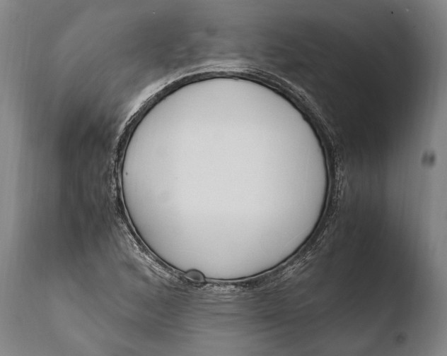 X0000108481168200904241253