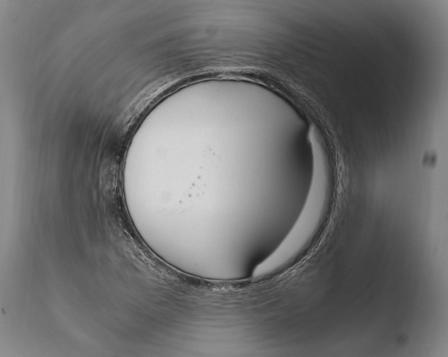X0000108481169200904241253