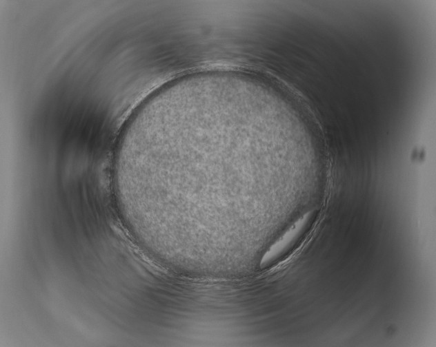 X0000108481170200904241253