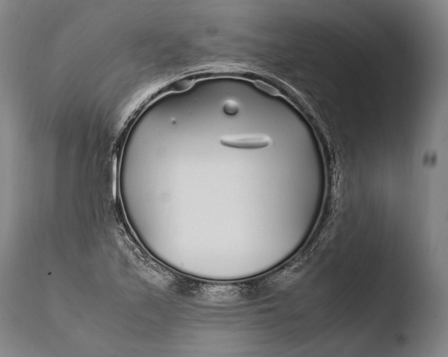 X0000108481171200904241253