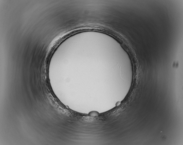 X0000108481172200904241253
