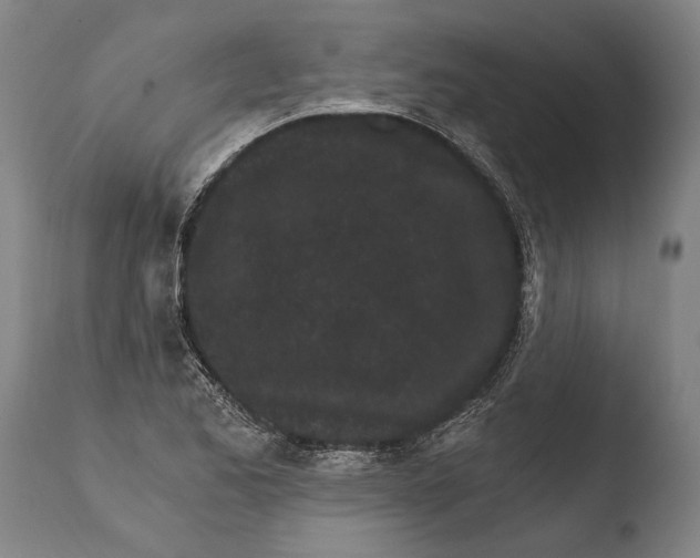 X0000108481173200904241253