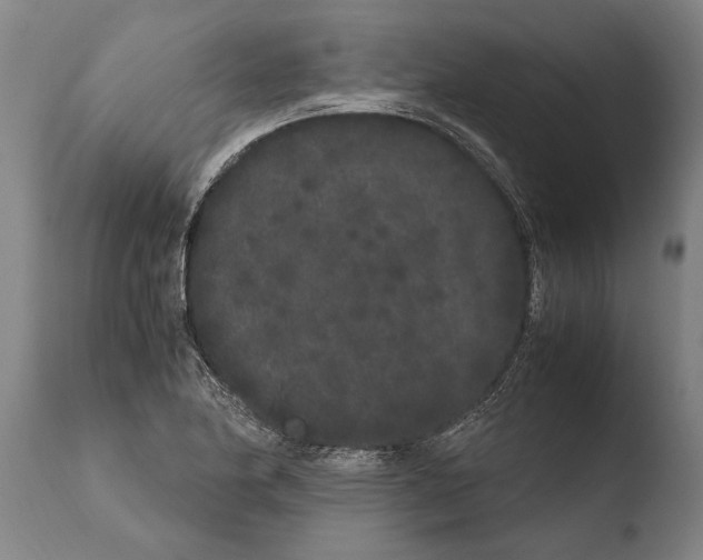 X0000108481174200904241253