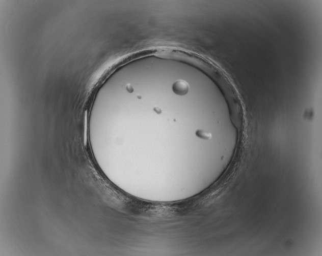 X0000108481175200904241253