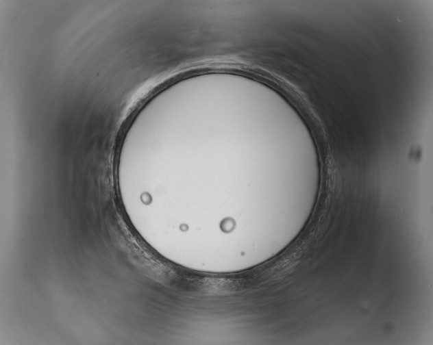 X0000108481176200904241253