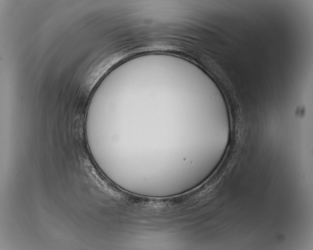X0000108481177200904241253