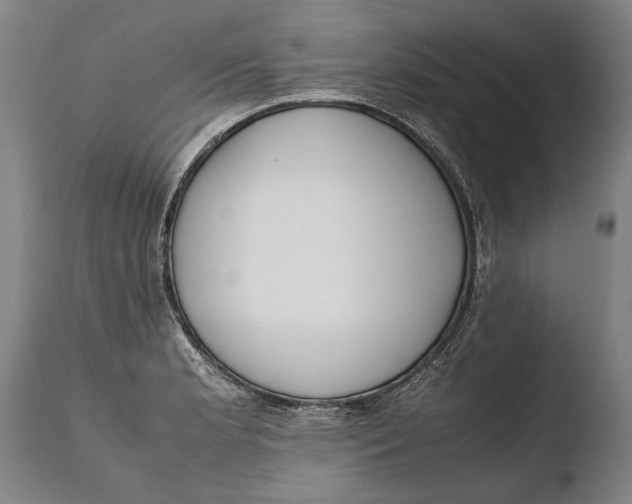 X0000108481181200904241252
