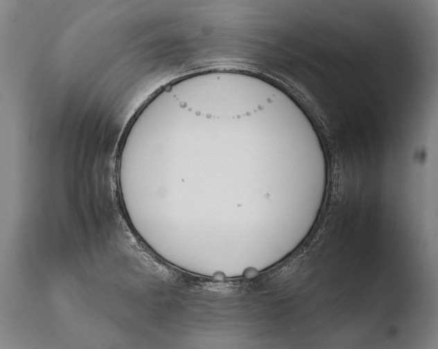 X0000108481182200904241252