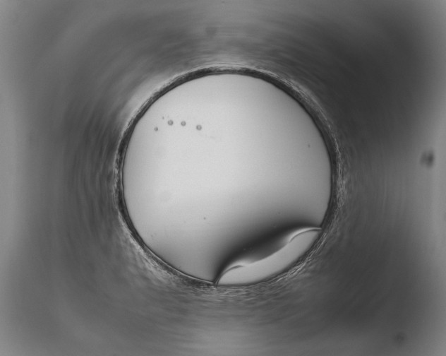 X0000108481183200904241252