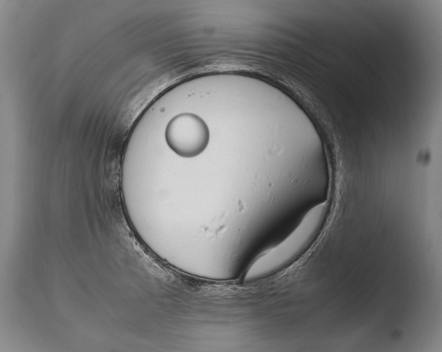 X0000108481185200904241252