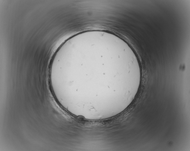 X0000108481187200904241252