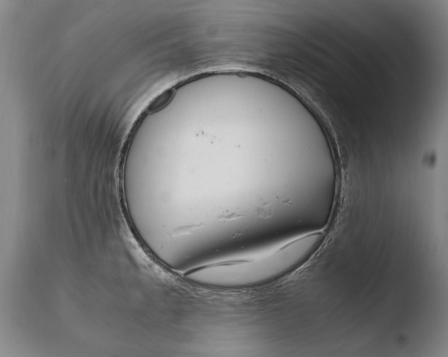 X0000108481189200904241252