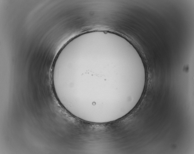 X0000108481190200904241252