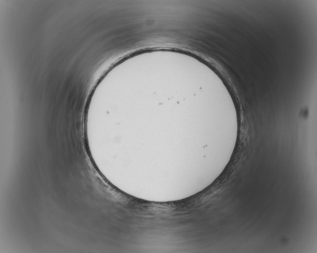 X0000108481191200904241252