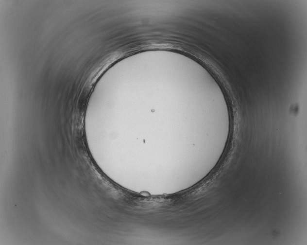X0000108481193200904241252