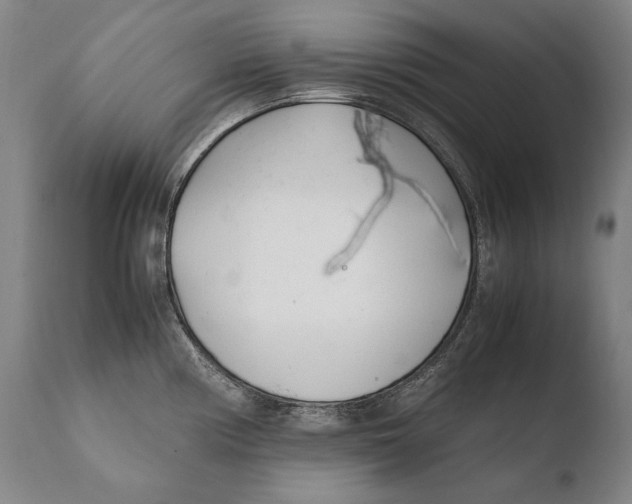 X0000108481194200904241252