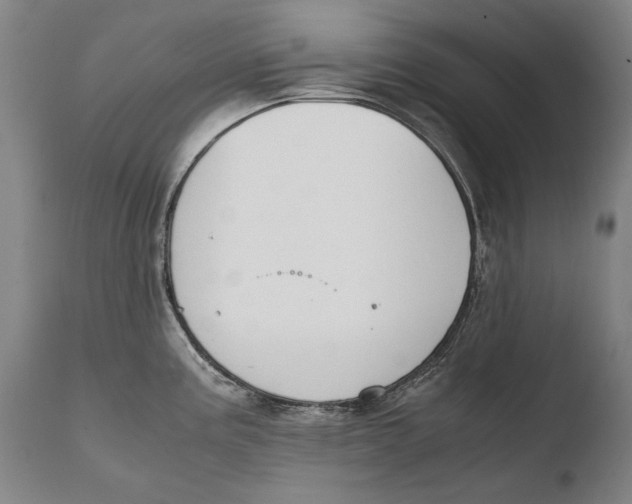 X0000108481195200904241252
