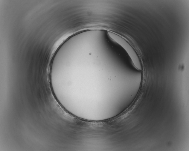 X0000108481196200904241252