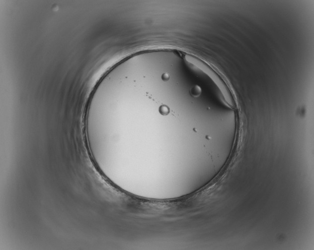 X0000108481197200904241252