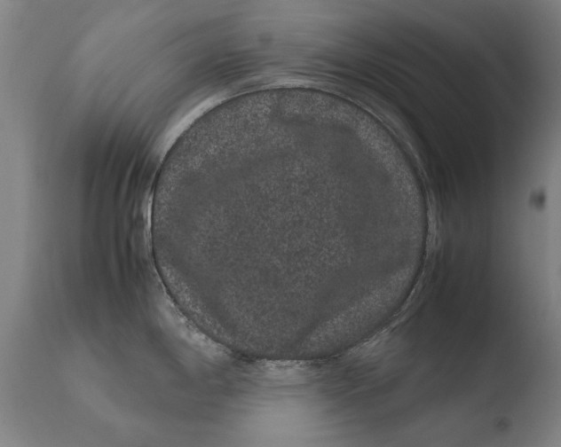 X0000108481198200904241252