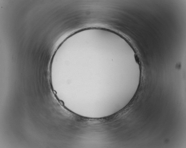 X0000108481199200904241252