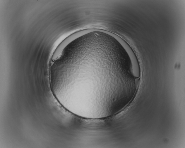 X0000108481200200904241252