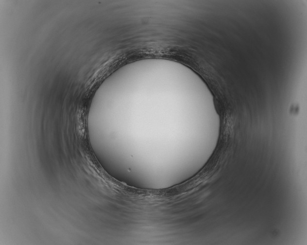 X0000108481202200904241251