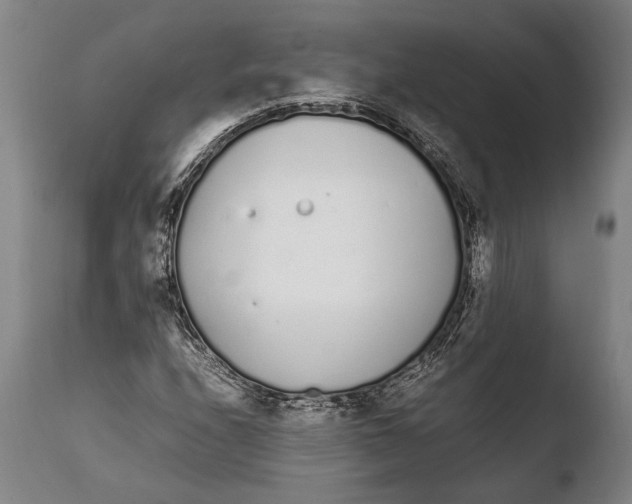 X0000108481208200904241251