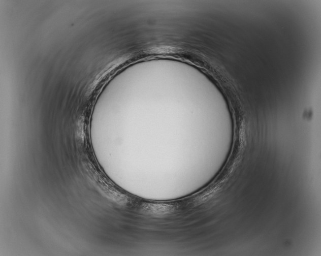 X0000108481209200904241251