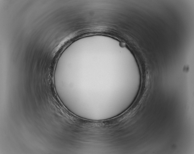 X0000108481210200904241251