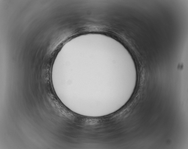 X0000108481211200904241251