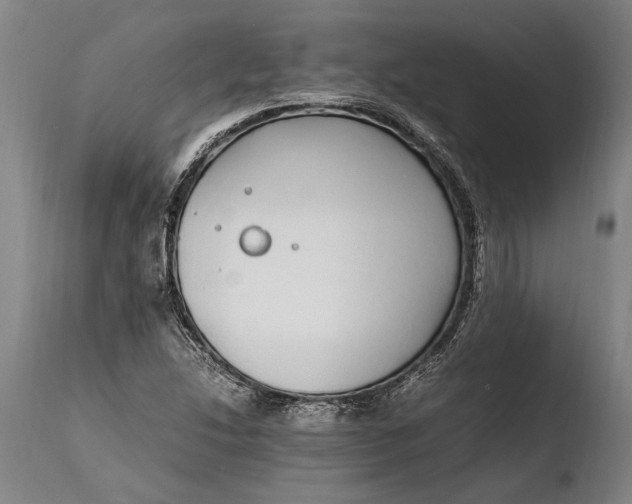X0000108481214200904241252