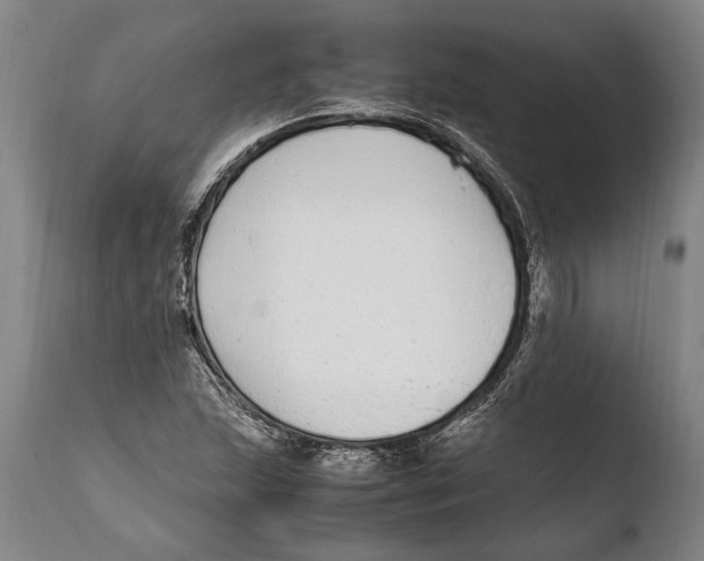 X0000108481215200904241252