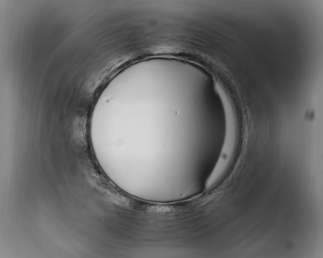 X0000108481217200904241252
