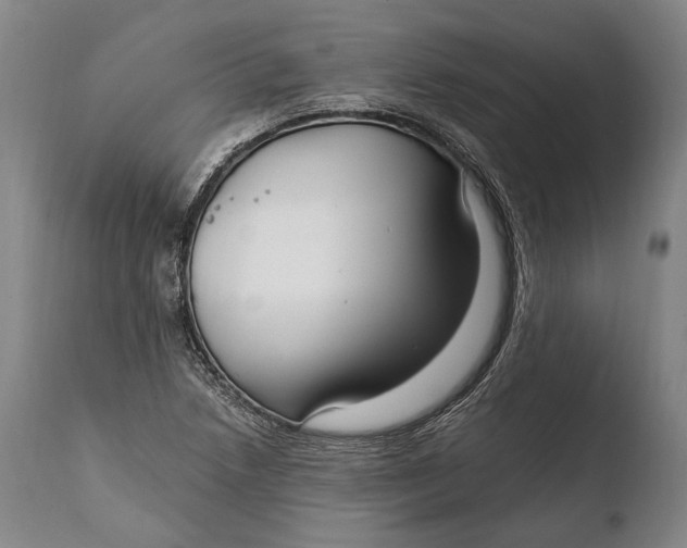 X0000108481218200904241252