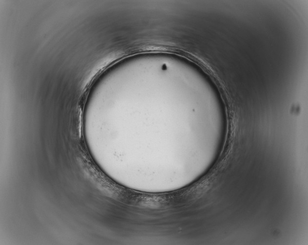 X0000108481219200904241252