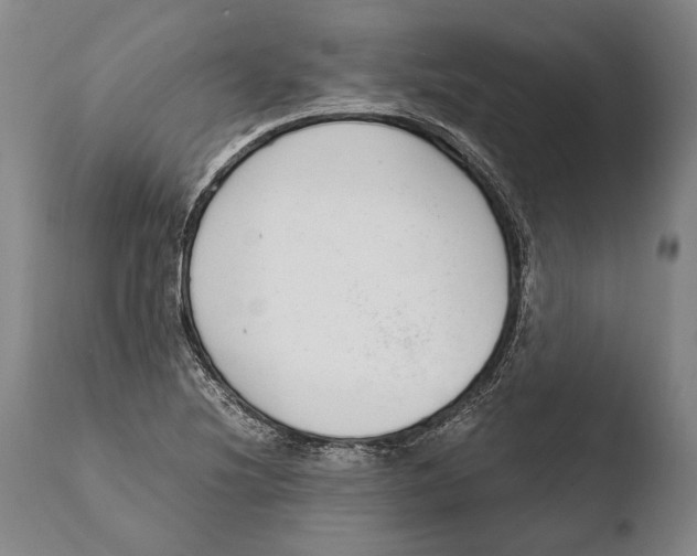 X0000108481220200904241252