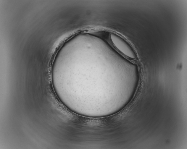 X0000108481223200904241252