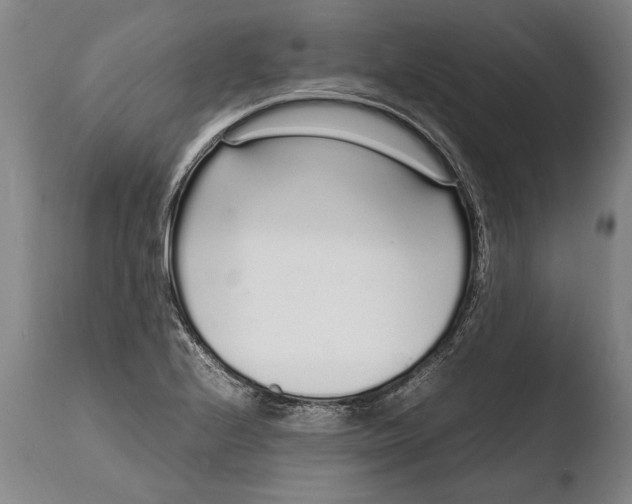 X0000108481224200904241252