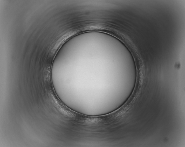 X0000108481225200904241252