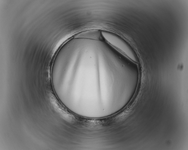 X0000108481226200904241252