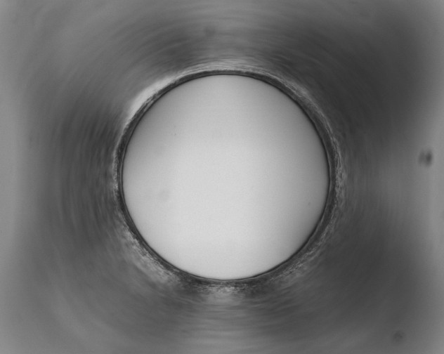 X0000108481230200904241252