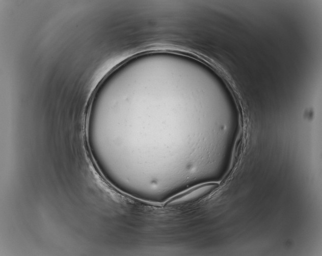 X0000108481231200904241252