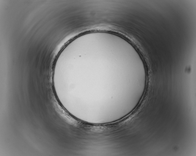X0000108481232200904241252