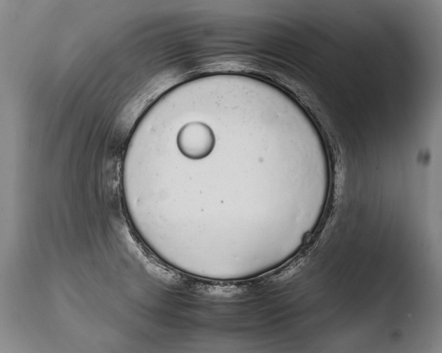 X0000108481233200904241252