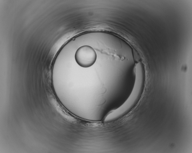 X0000108481234200904241252